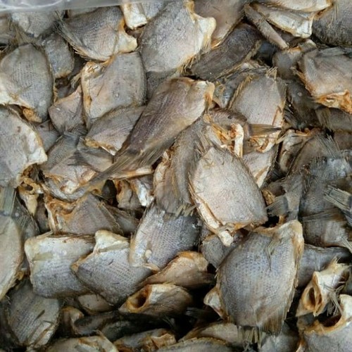 

COD ikan asin biawan / tembakang super 1000 gram murah bayar ditempat