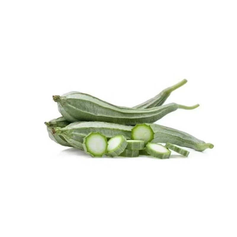 

(KIRIM BESOK) Oyong / Gambas