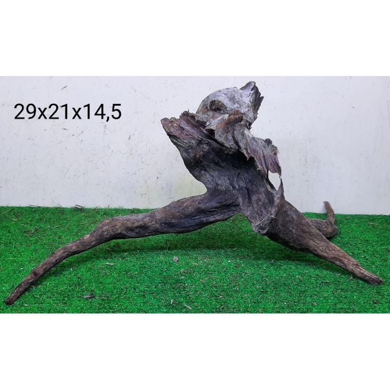 Bonggol Kayu Santigi Laut Kecil - Kayu Tenggelam - Aquarium - Aquascape - Taman - 29x21x14,5 T