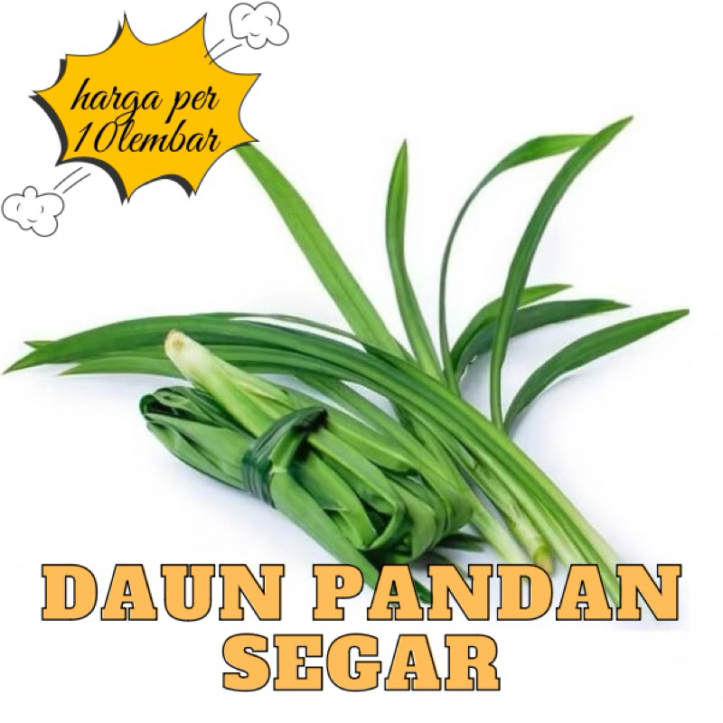 

Daun pandan segar 100% organik dipetik langsung dari kebun