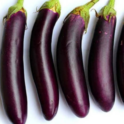 

Terong ungu panjang segar 500g
