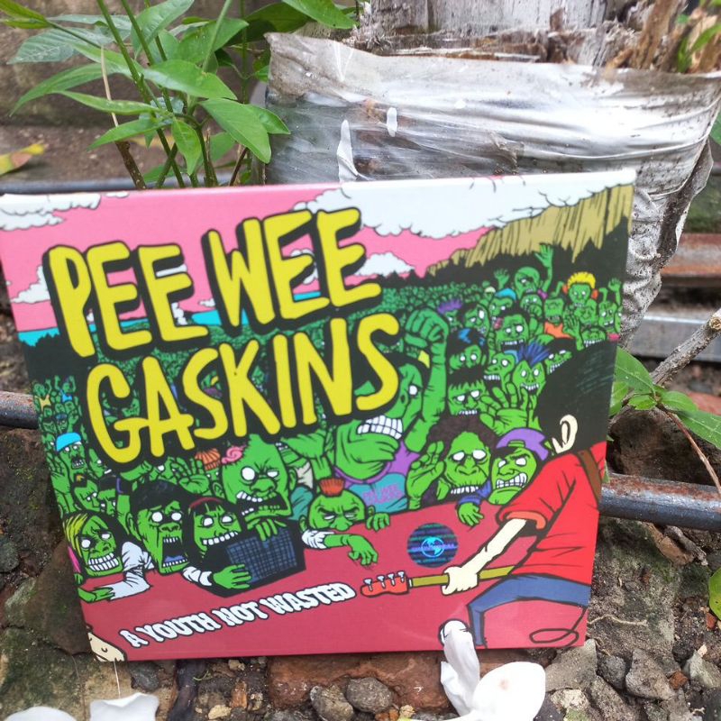 cd pee wee gaskins -  a youth not wasted
