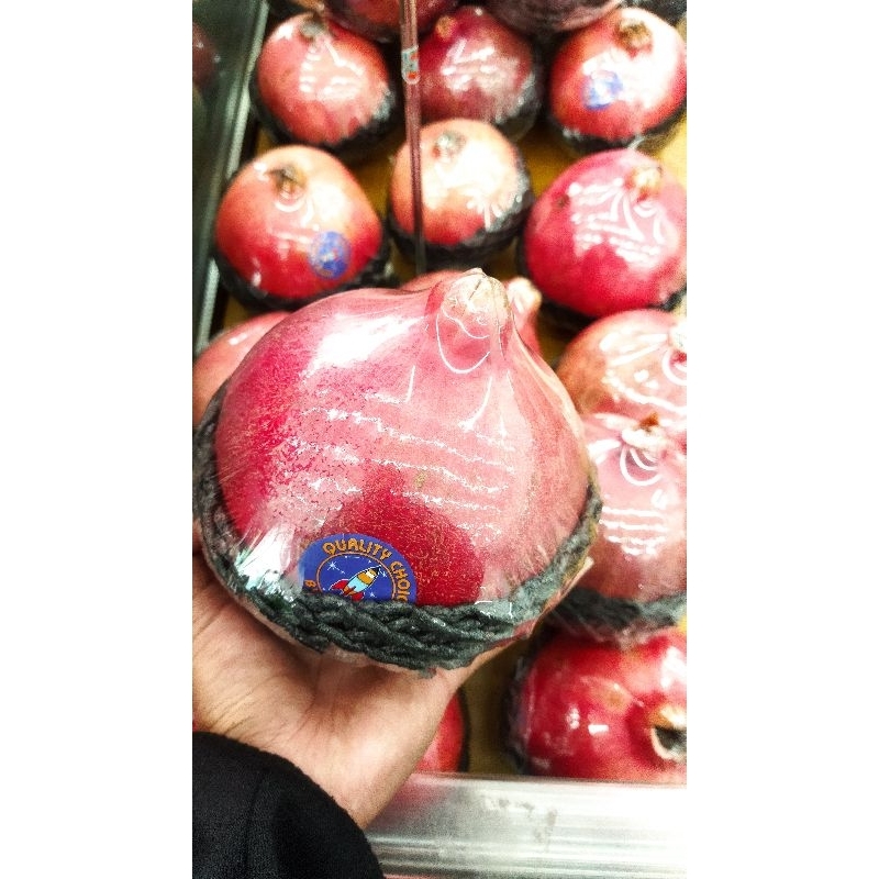 

DELIMA MESIR FRESH 1KG