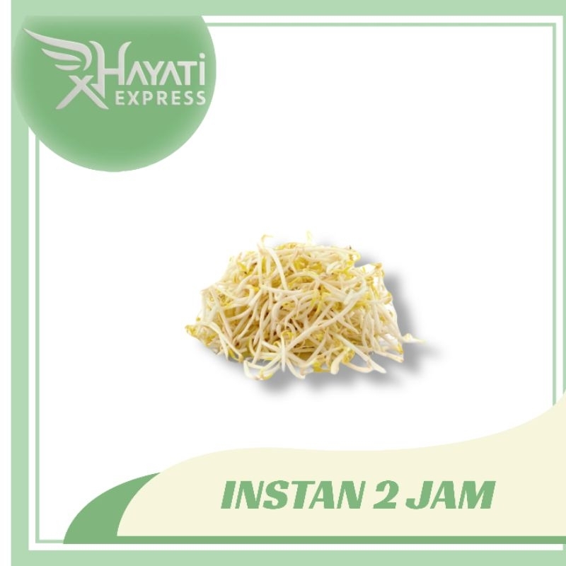 

Tauge Toge 100gr - Hayati Express Siap Kirim Instan Semarang