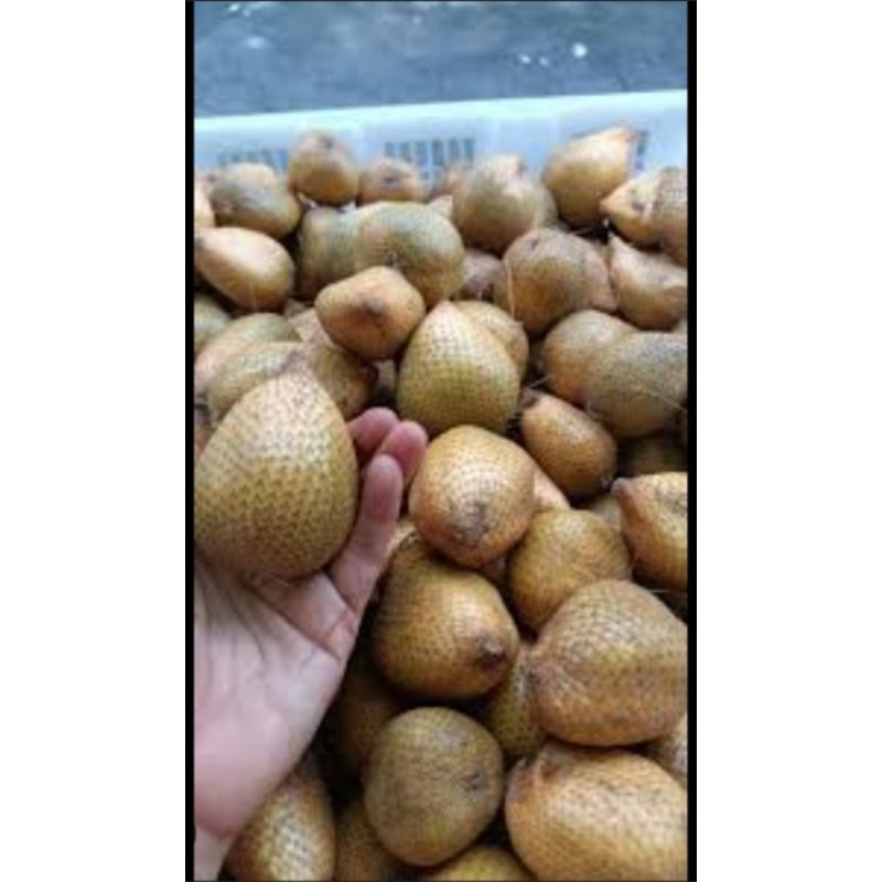 

salak gading sleman