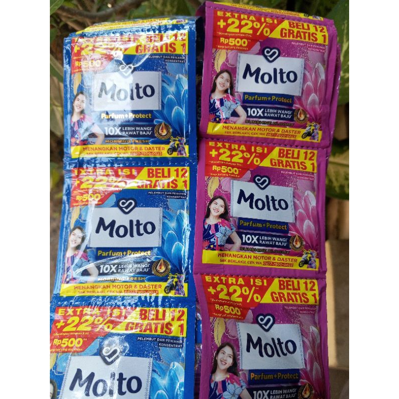 MOLTO 500 SEPAKET 36 SACHET