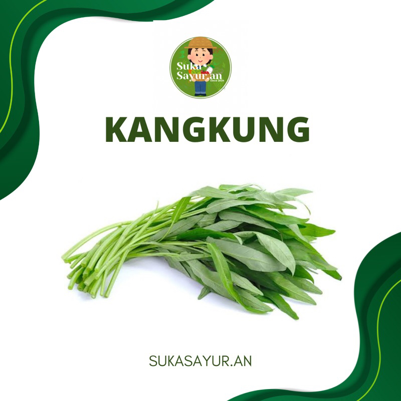 

SUKASAYUR.AN - Kangkung hijau 1 ilat