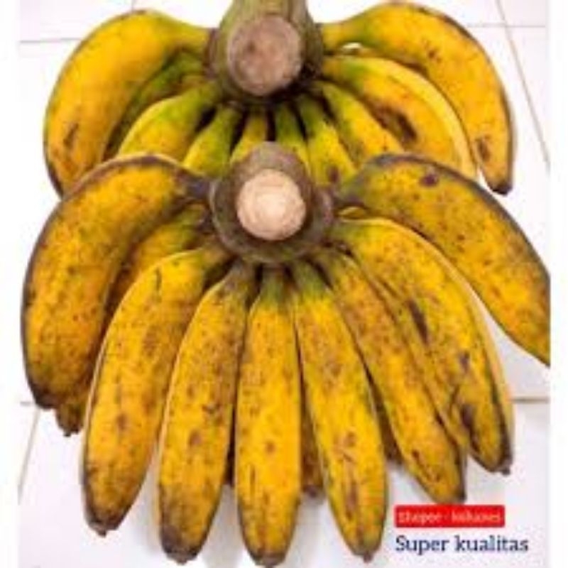 

PISANG RAJA HARGA PER KG BELI 10KG GRATIS 1KG