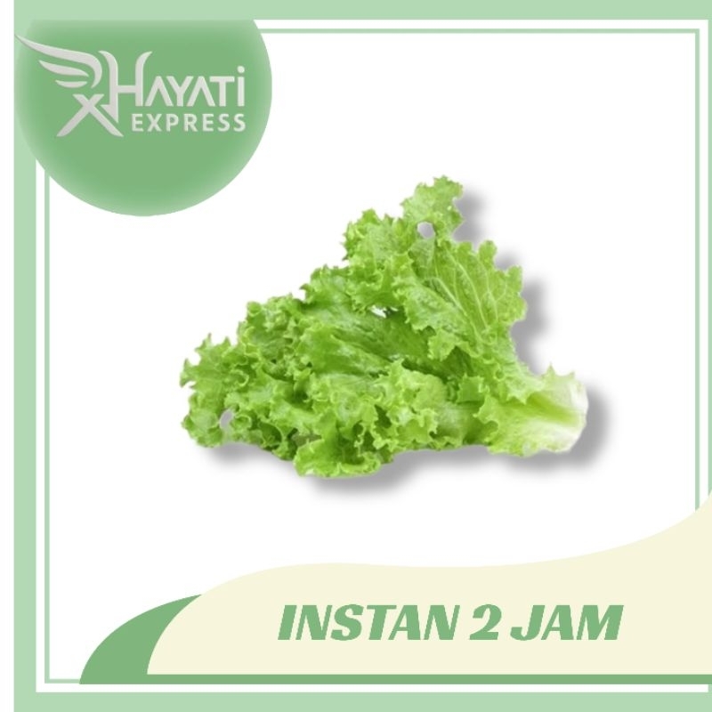 

Selada Keriting 100gr - Hayati Express Siap Kirim Instan Semarang