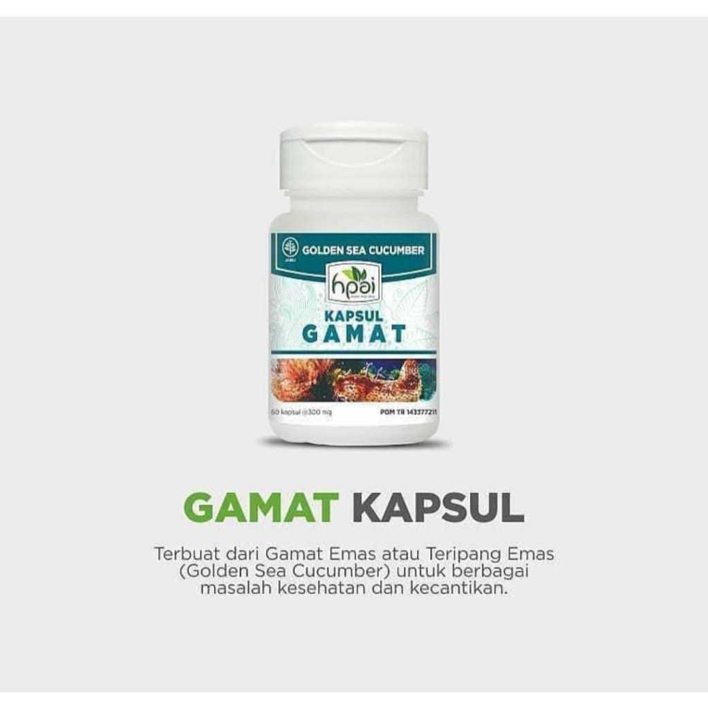 Gamat Kapsul Ekstrak Teripang Emas