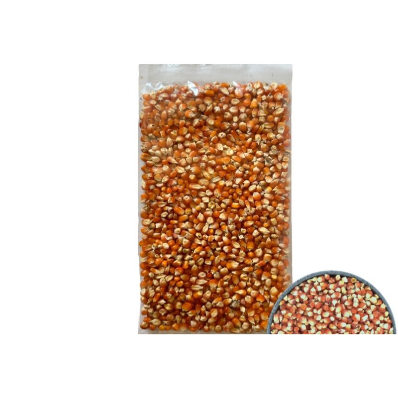 Jagung Pakan Unggas Jagung Besar Kering Pakan Burung Ayam 10kg