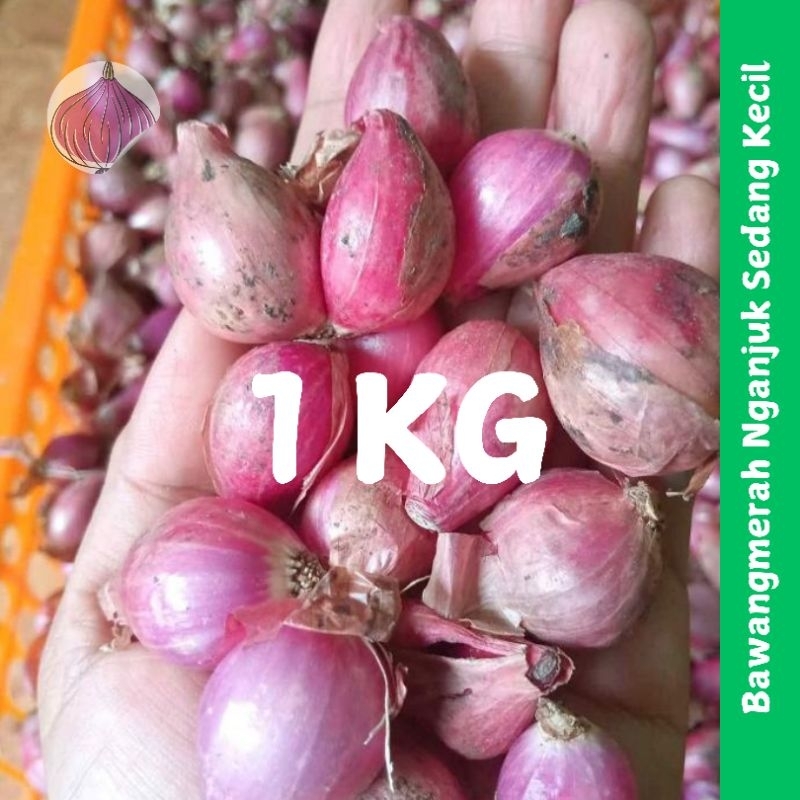 

Bawang Merah [ 1 Kg ] Bawang Merah Nganjuk Ukuran Sedang Kecil/Bawang Merah Murah
