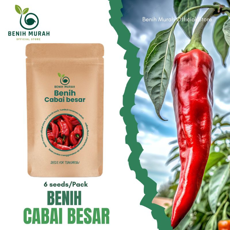 

Babai Merah Besar Sayuran Unggul Cabe Merah Super