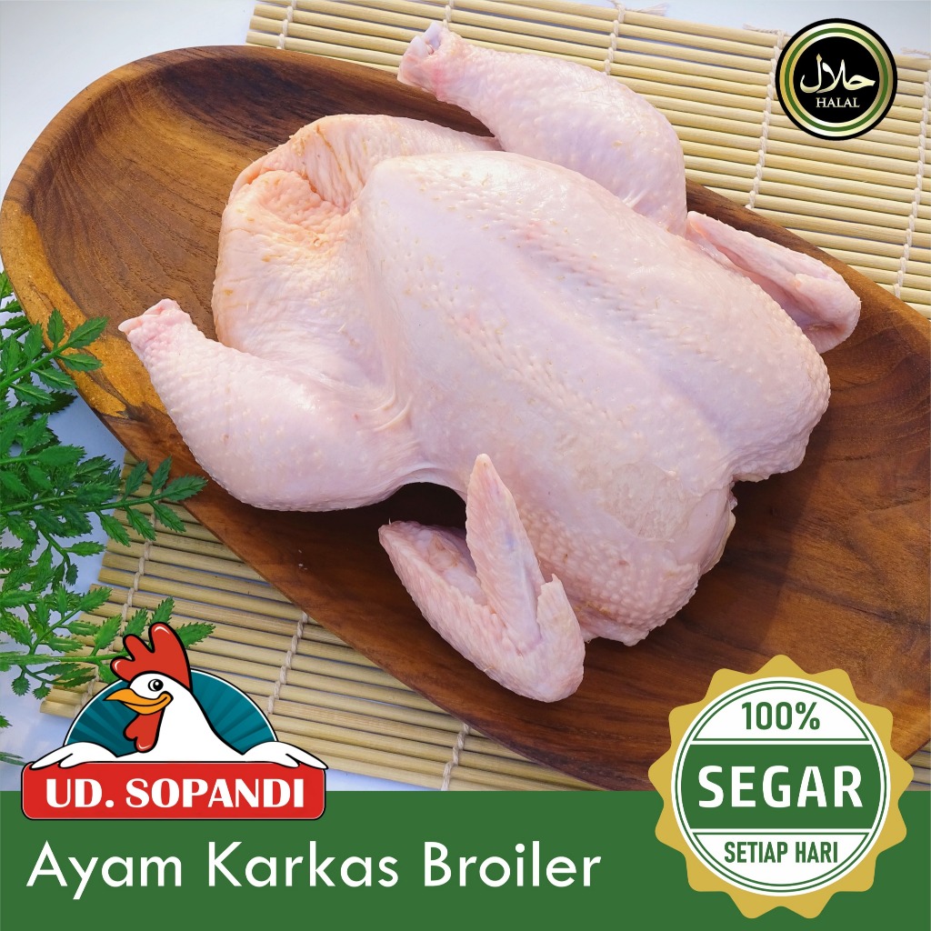 

Ayam Potong Segar Karkas Broiler