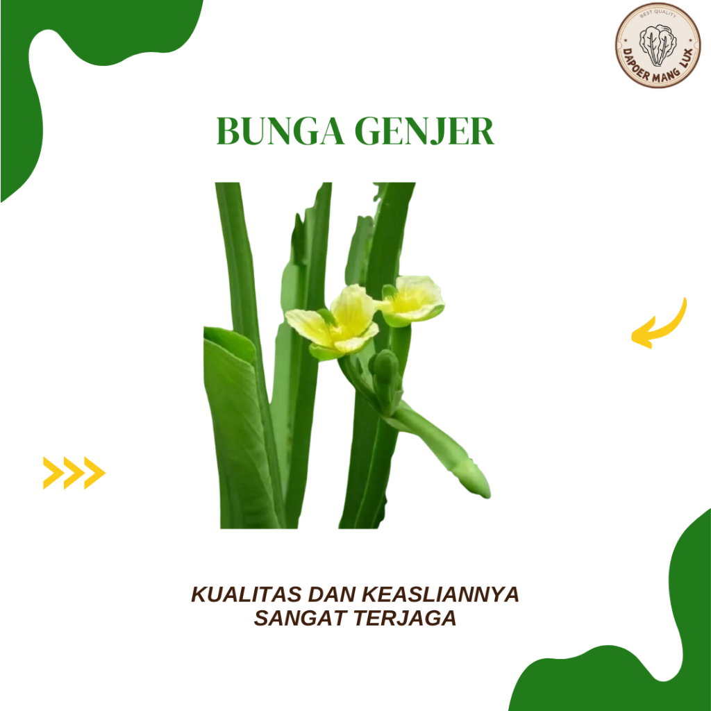 

DRIED SERBUK BUNGA GENJER BEST SELLER