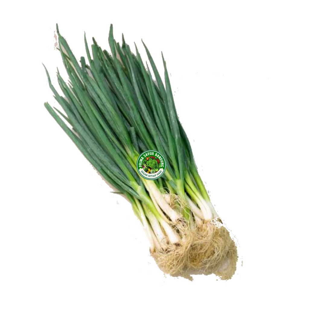 

PRIMA - Daun Bawang Segar Onion Leaves Sayur Fresh Bandung