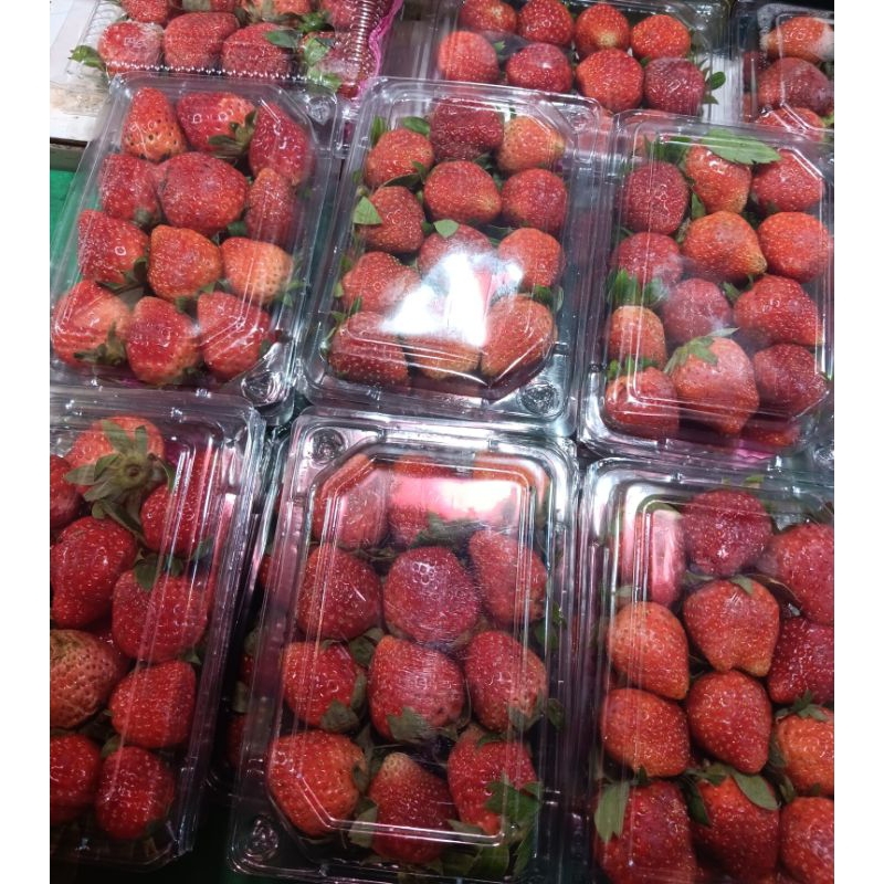 

strawberry segar 250gr