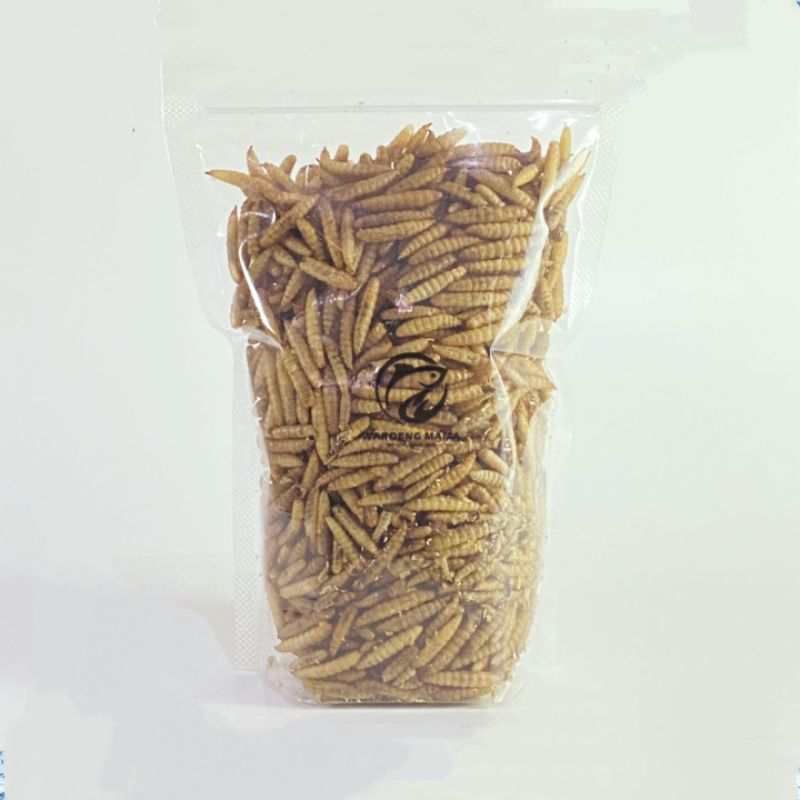 MAGGOT KERING 50 GRAM LARVA PAKAN MAKANAN IKAN CHANA IKAN PREDATOR