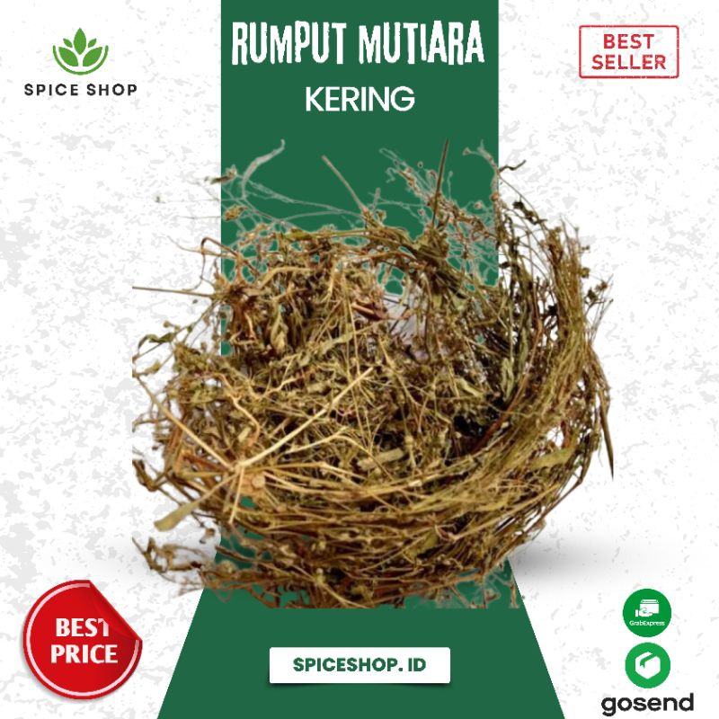 

Rumput Mutiara Kering - Spice Shop