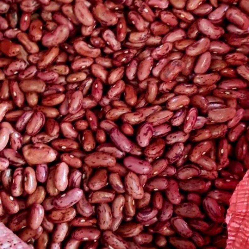 

Kacang Merah Es 1 KG