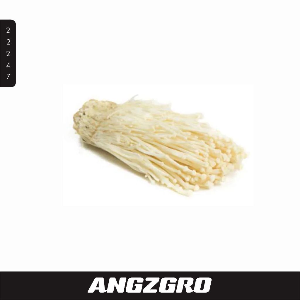 

Jamur Enoki 1 pcs / Pack