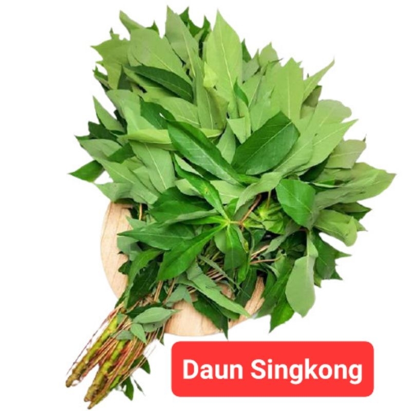 

Daun Singkong Segar 1 ikat