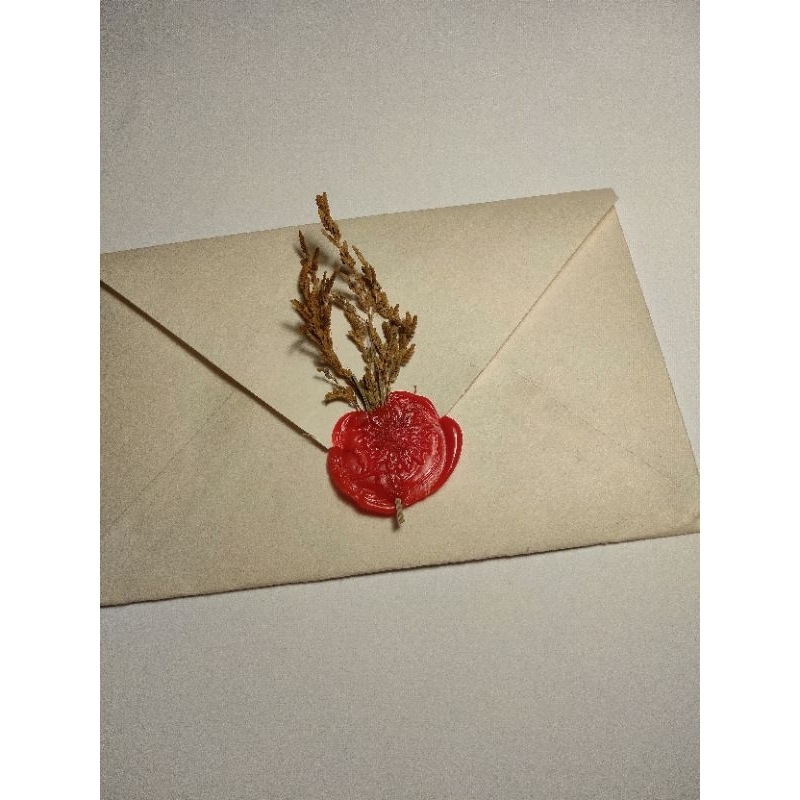 

Vintage Envelope / Amplop THR Aesthetic