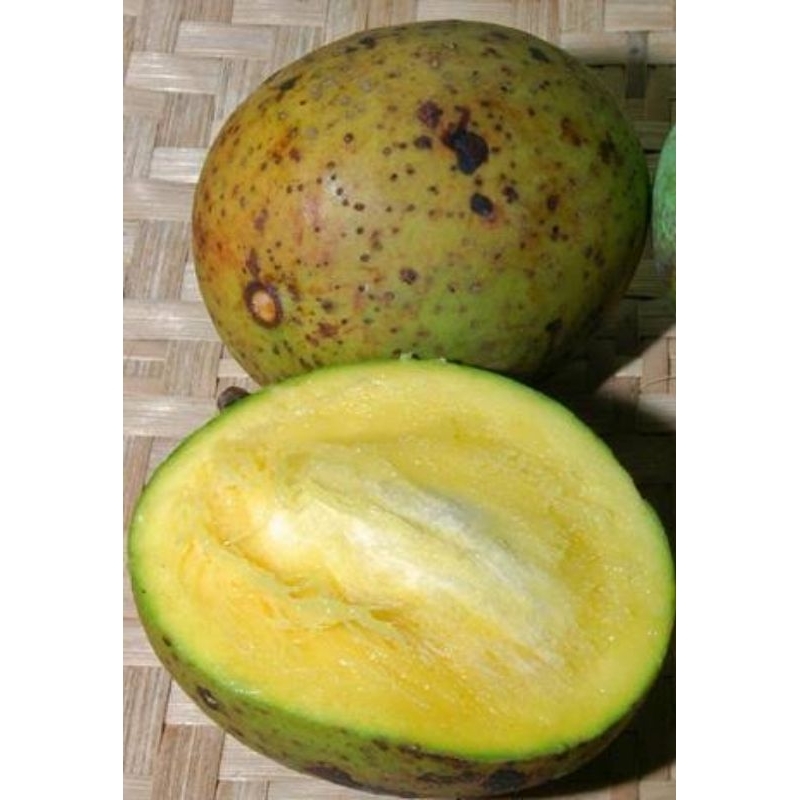 

buah pakel atau buah limus fres 1kg