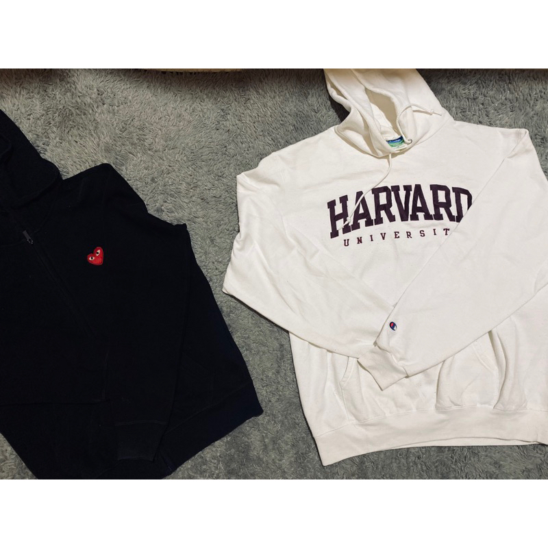 hoodie harvard champion
