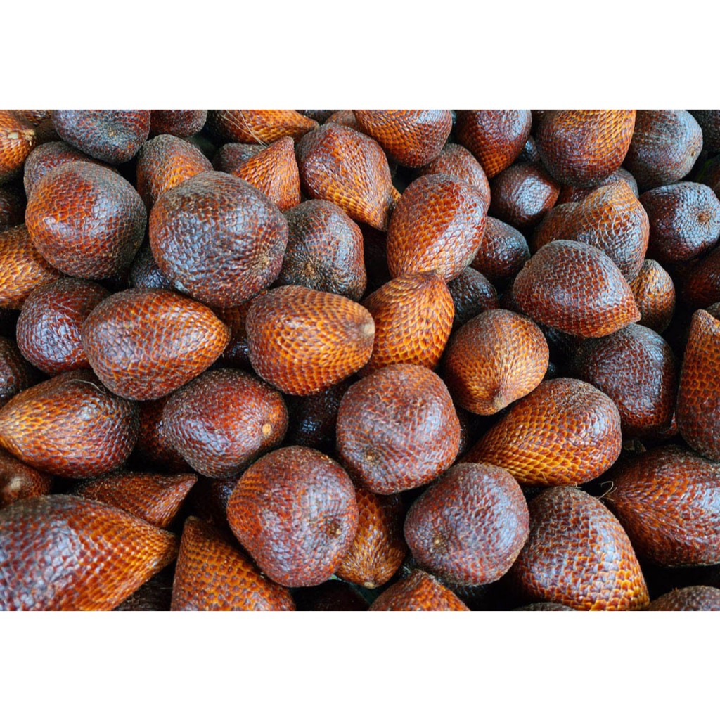 

Buah Salak Fresh 1Kg ( Kirim Instan )