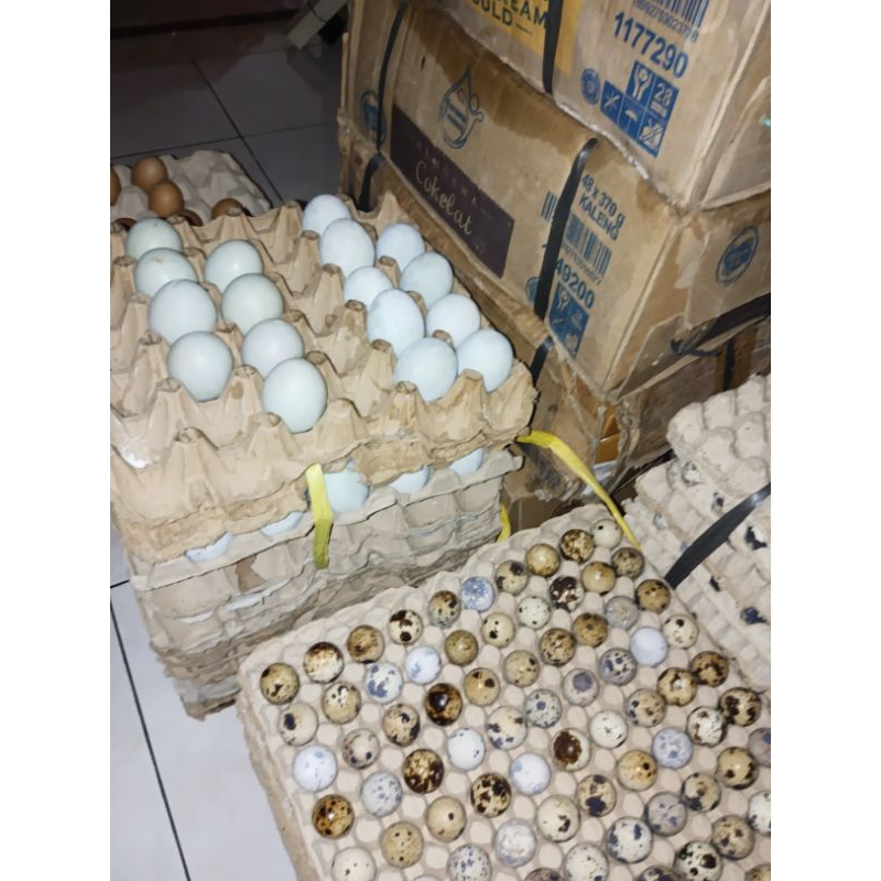 

Telur Asin Asli Kudus