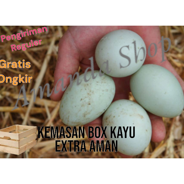 

Telor bebek mentah murah Langsung dari kandang gratis kemasan extra BOX