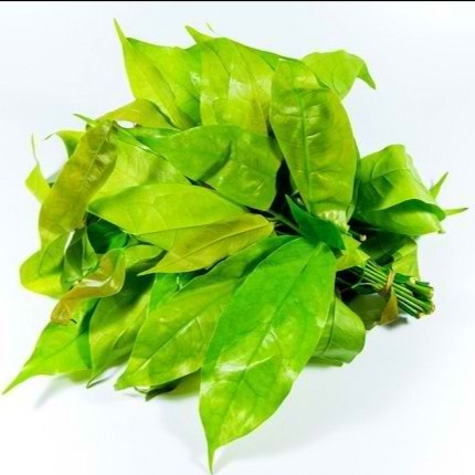 

Daun melinjo 1 ikat