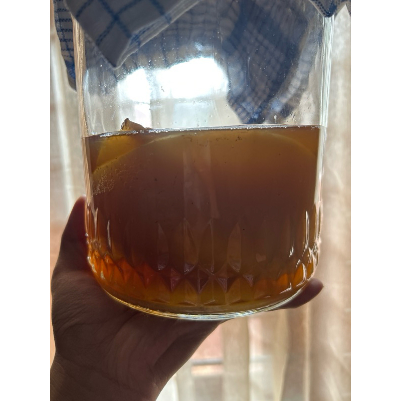 

Starter Kombucha Kuat