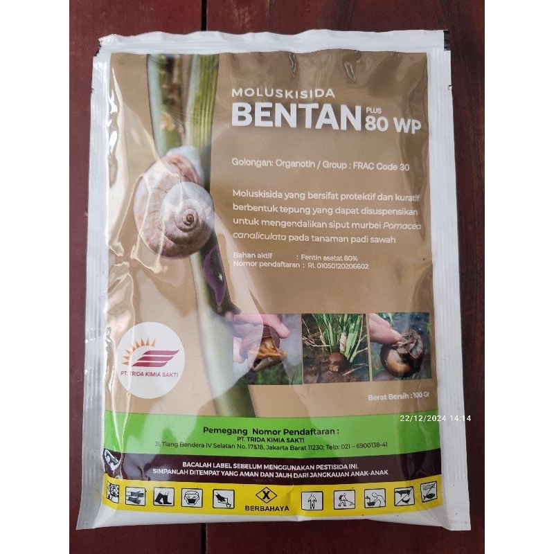 BENTAN 80WP 100GR