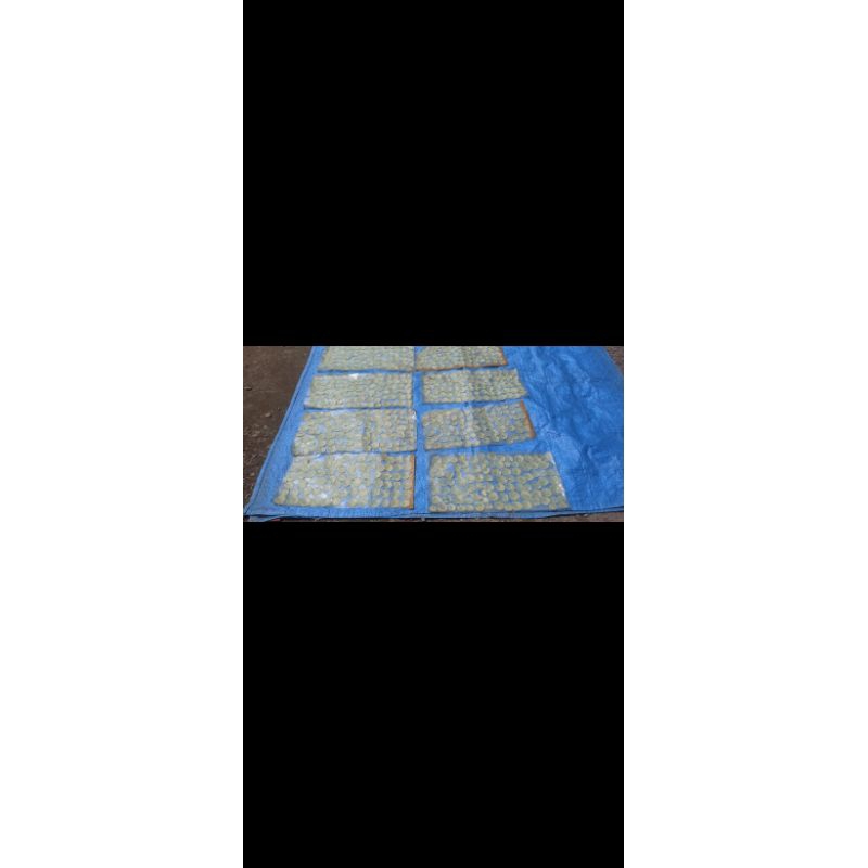 

EMPING | KERUPUK EMPING MELINJO