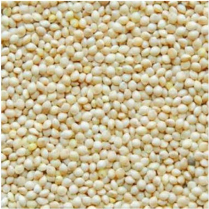 milet putih vita kiloan 1kg