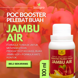Jambu Air Booster 100 cc / Pupuk Booster Jambu AIr / Pupuk Pelebat Buah Jambu Air / Pupuk Pelebat Or