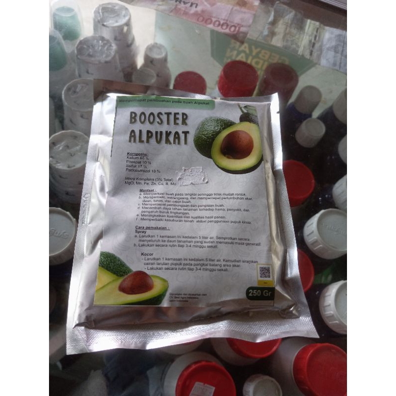 BOSTER ALPUKAT DAN BOSTER KELENGKENG