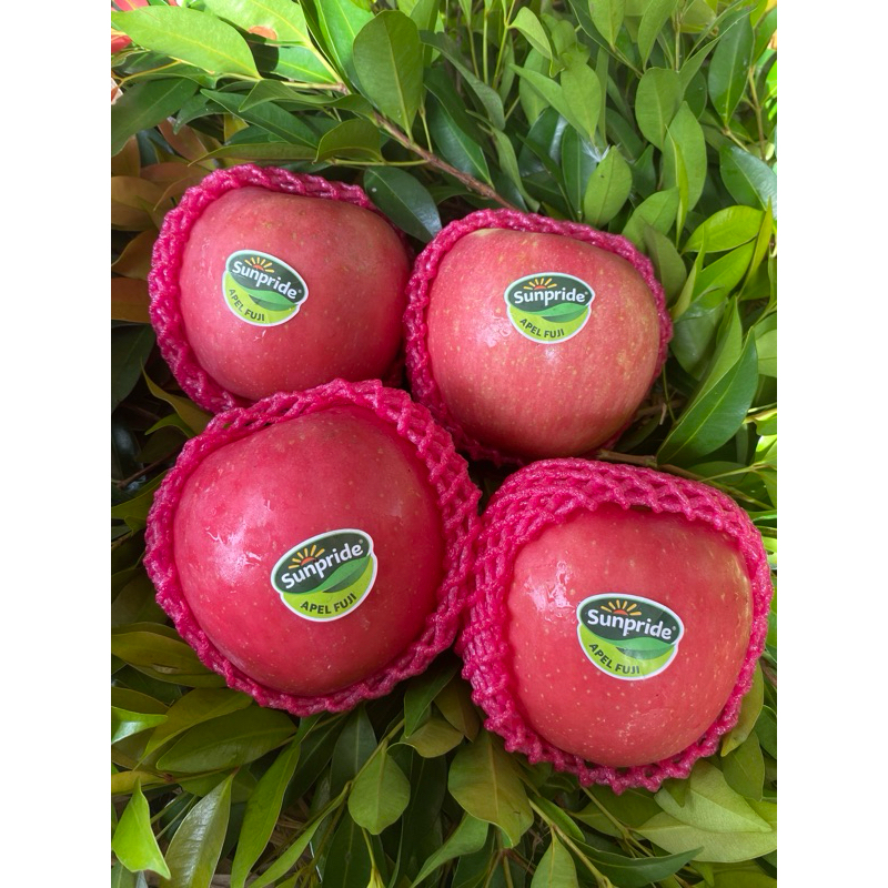 

Sunpride Apel Fuji Premium size besar 900-1kg