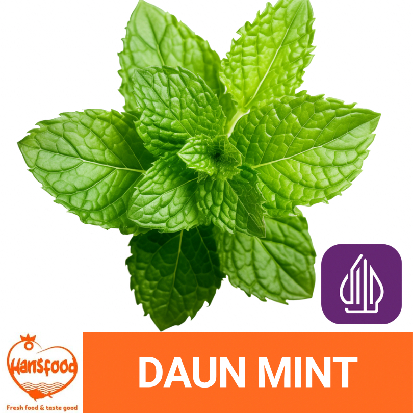 

DAUN MINT FRESH PER PACK