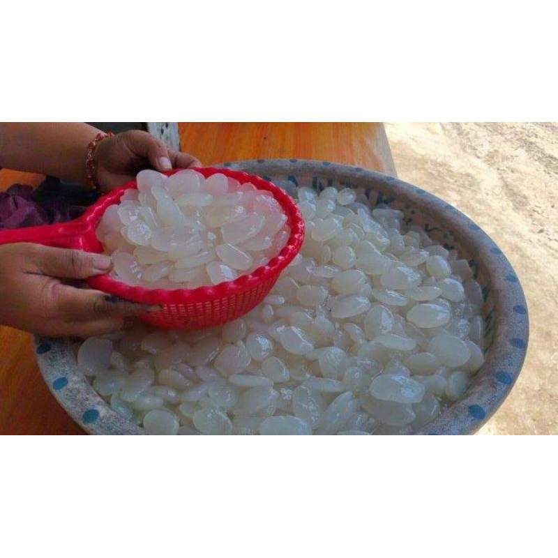 

Cod Kolang-kaling Original Tasikmalaya murni dari petani