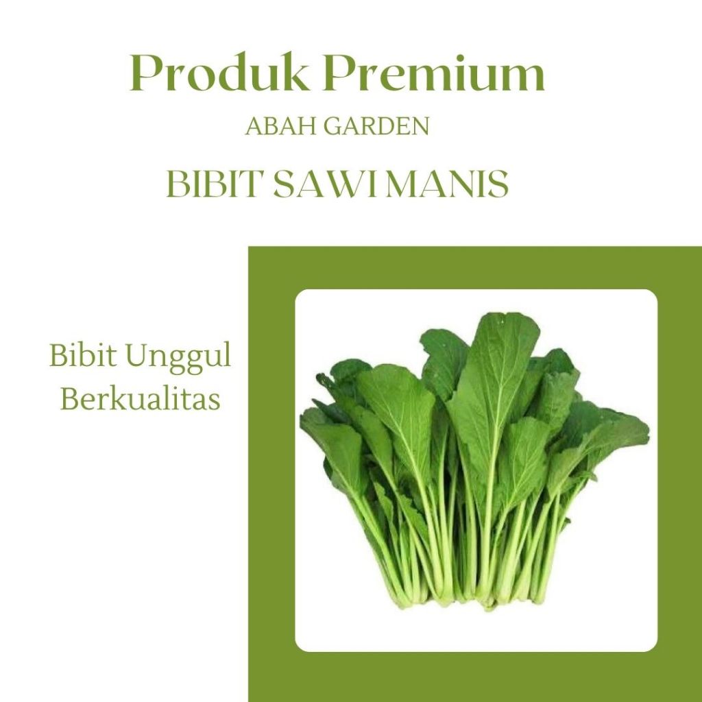 Benih Sawi Manis Bibit Sayuran Sawi Manis Bibit Unggul