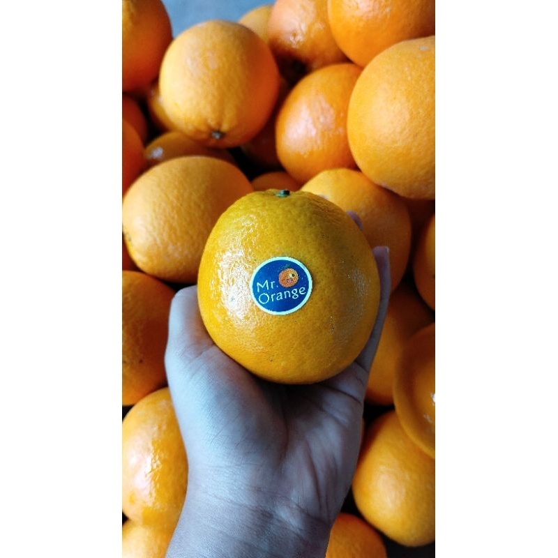 

Jeruk sunkist 500gr