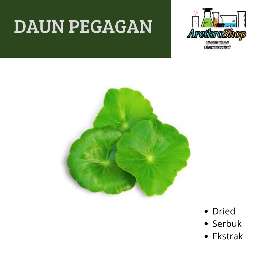 

SERBUK DAN DRIED DAUN PEGAGAN BEST PRODUCT
