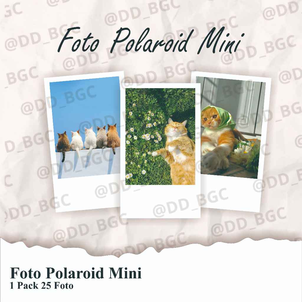 Foto Polaroid 2R Foto Polaroid Photo Polaroid