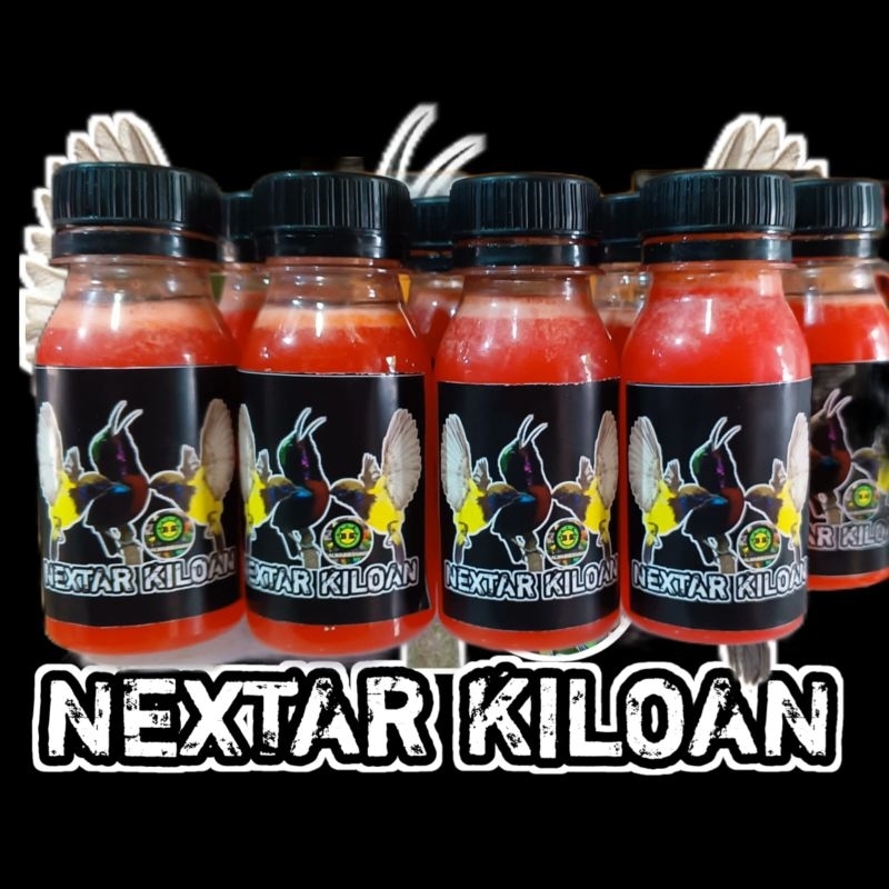 NEXTAR KOLIBRI GACOR