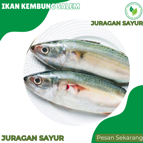 

Juragan Sayur - Ikan Kembung Salem 2 ekor