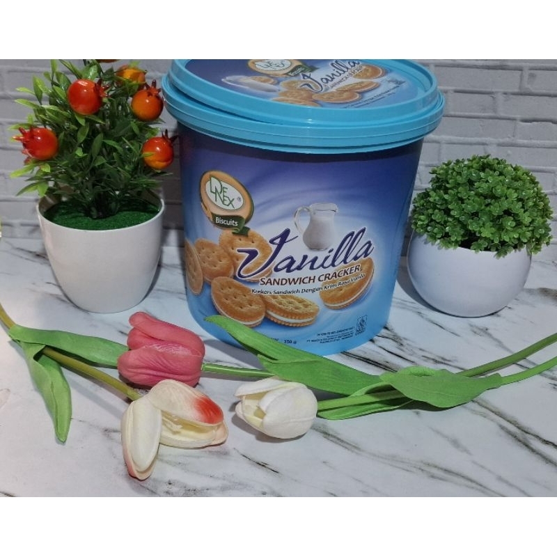 

DENEX BISKUIT VANILA