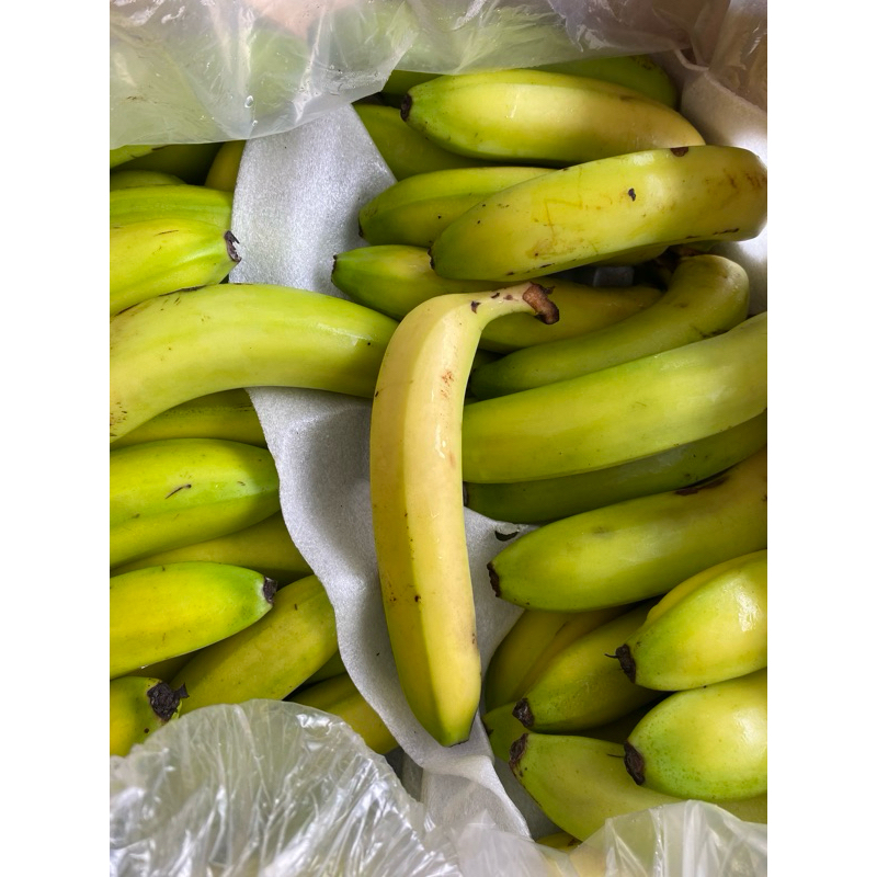 

Pisang sunpride satuan 900-1kg